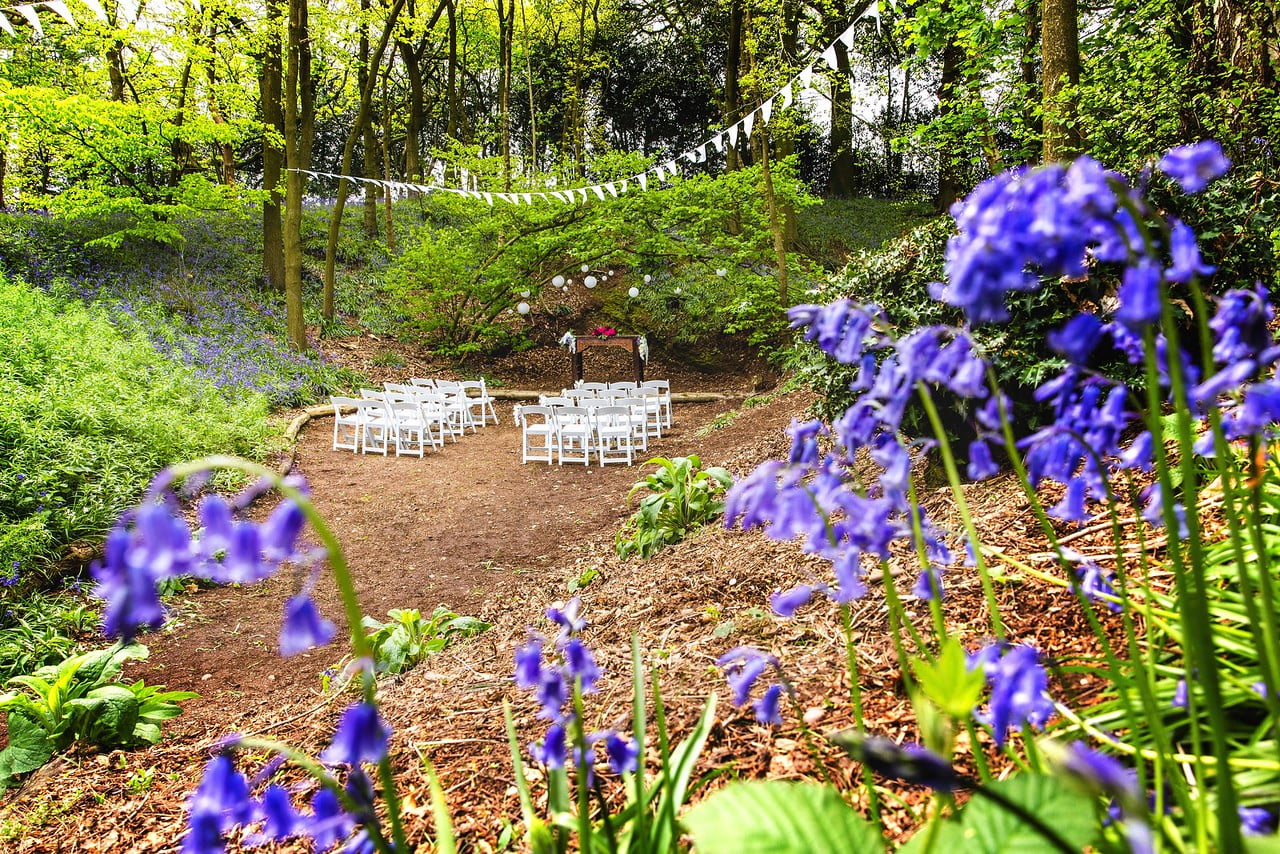 Outdoor wedding – bluebells 2